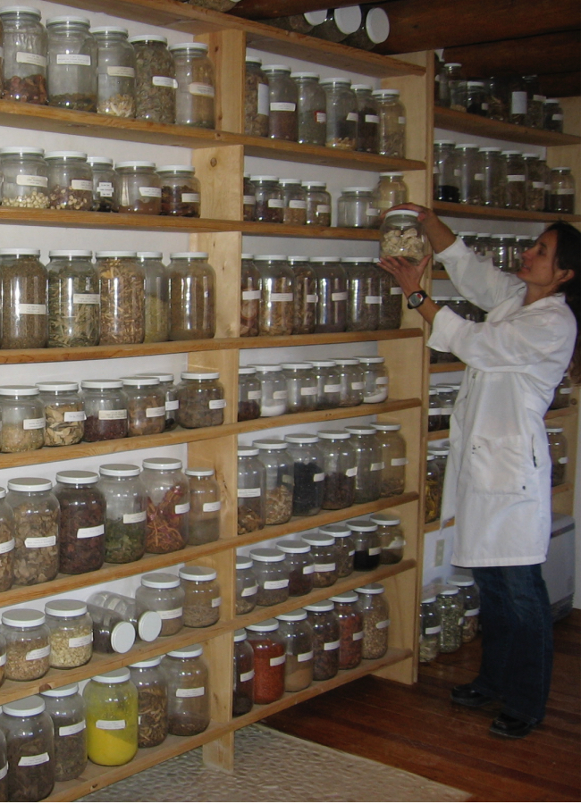 Willow Clinic, Chinese herbs and supplements, located in Taos, NM